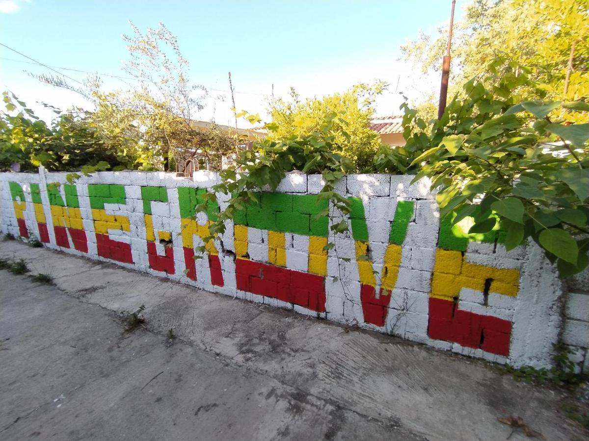 Pinegroove Hostel Vlora מראה חיצוני תמונה