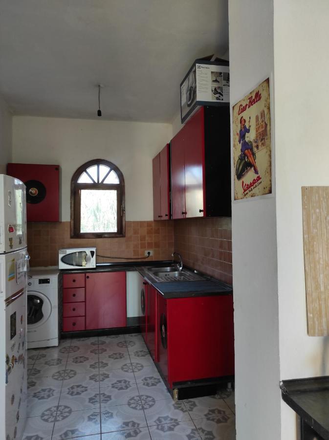 Pinegroove Hostel Vlora מראה חיצוני תמונה