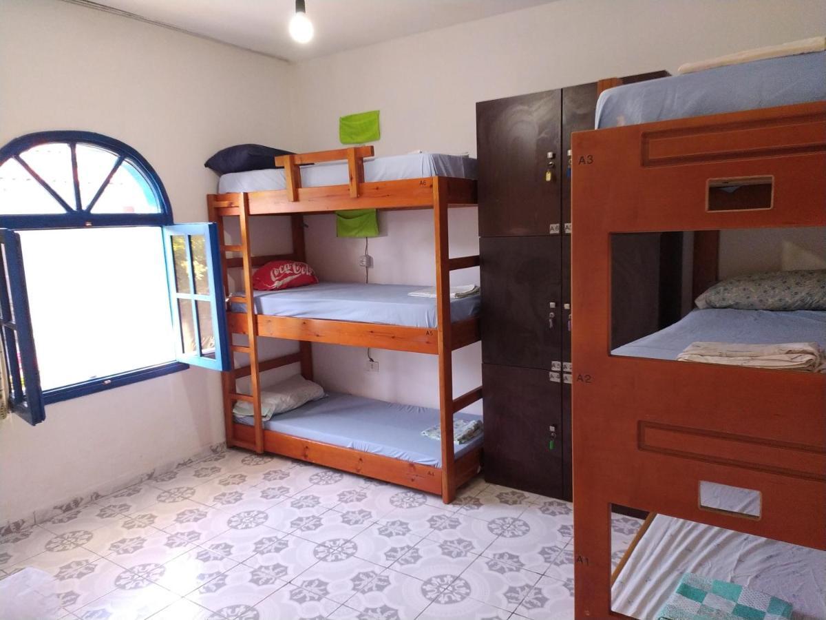 Pinegroove Hostel Vlora מראה חיצוני תמונה