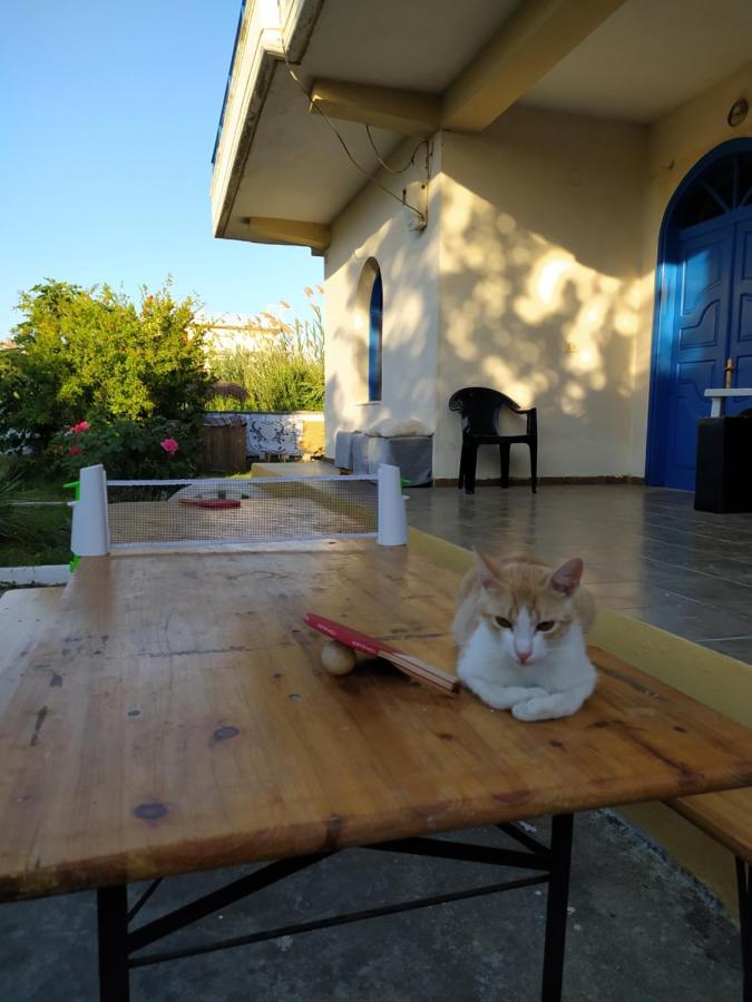 Pinegroove Hostel Vlora מראה חיצוני תמונה
