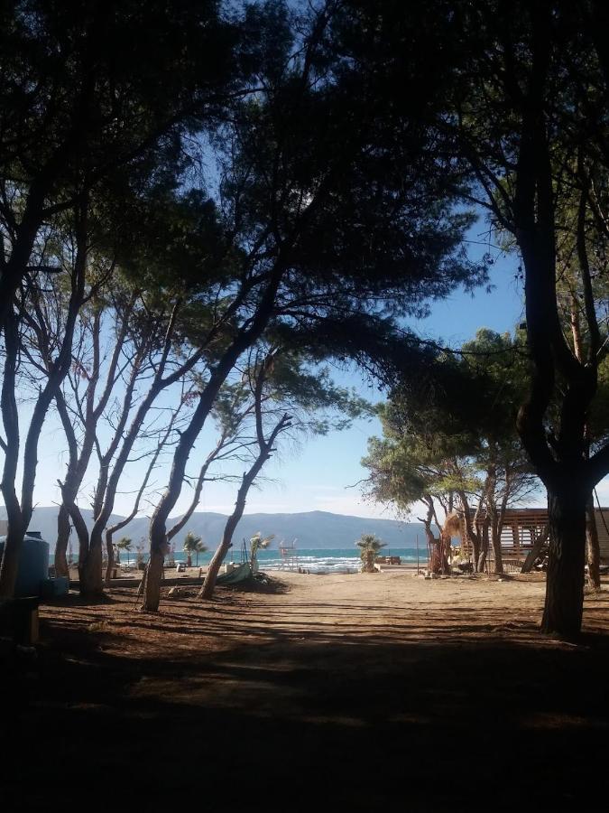 Pinegroove Hostel Vlora מראה חיצוני תמונה