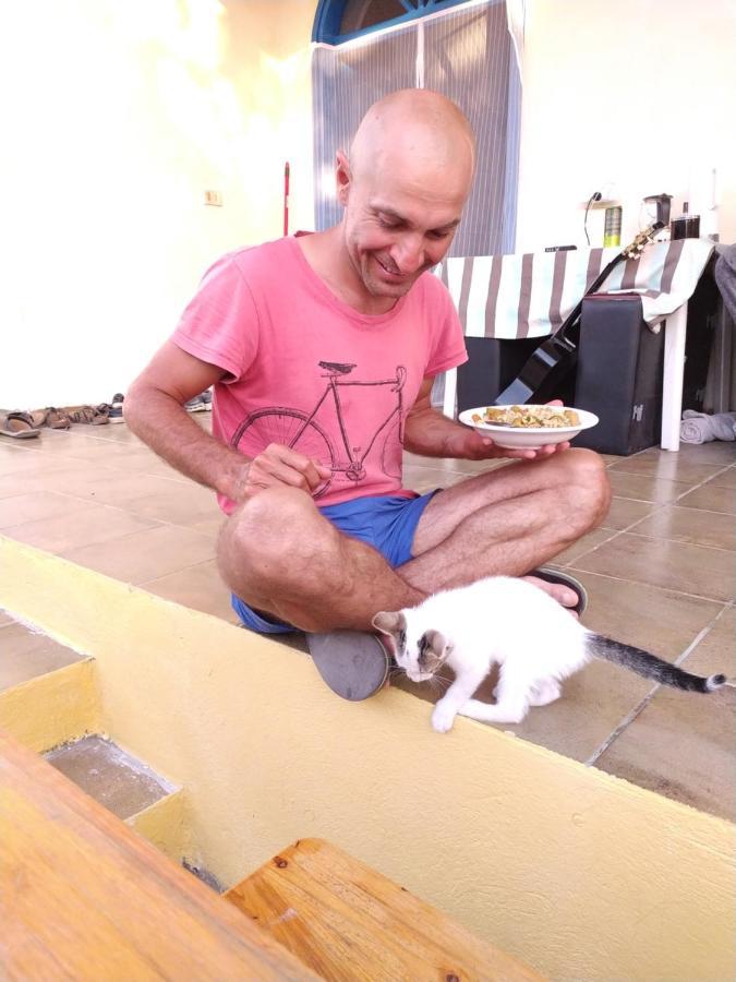Pinegroove Hostel Vlora מראה חיצוני תמונה